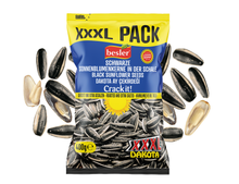 Besler Premium Schwarze Sonnenblumenkerne XXL Dakota – Extra gesalzen 400 g (XXXL-Pack)